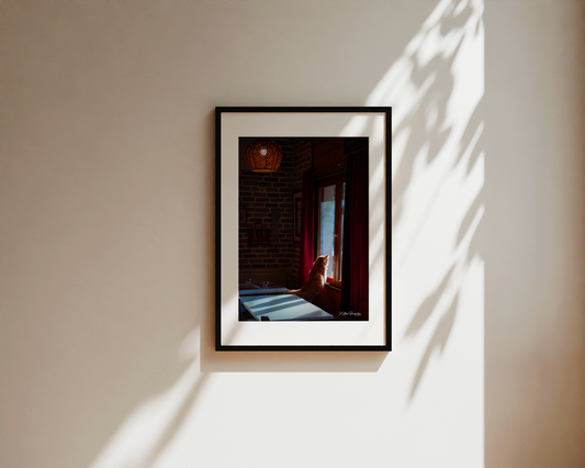 À TRAVERS LA FENÊTRE