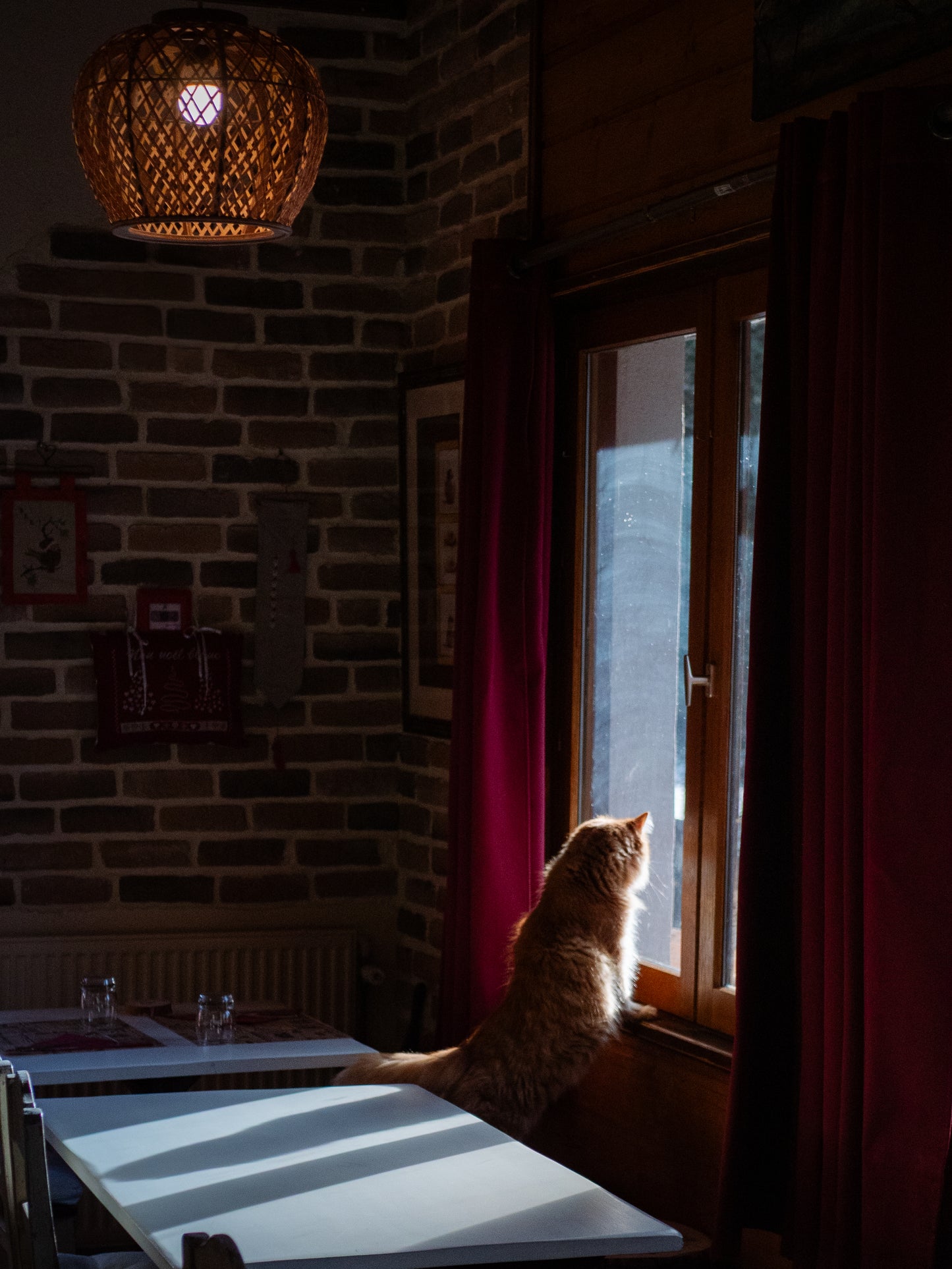 À TRAVERS LA FENÊTRE